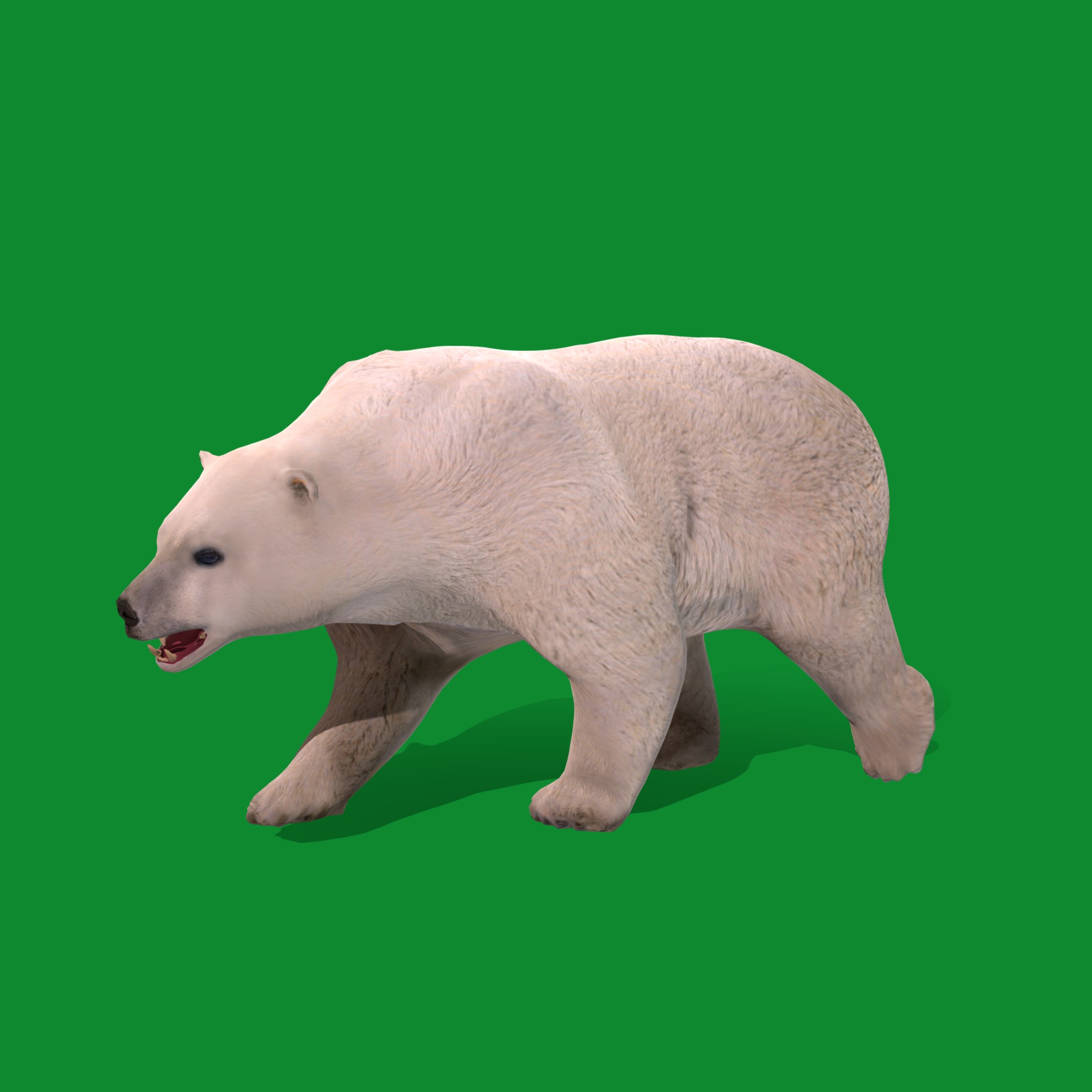 Polar Bear Low-poly 3D model_19