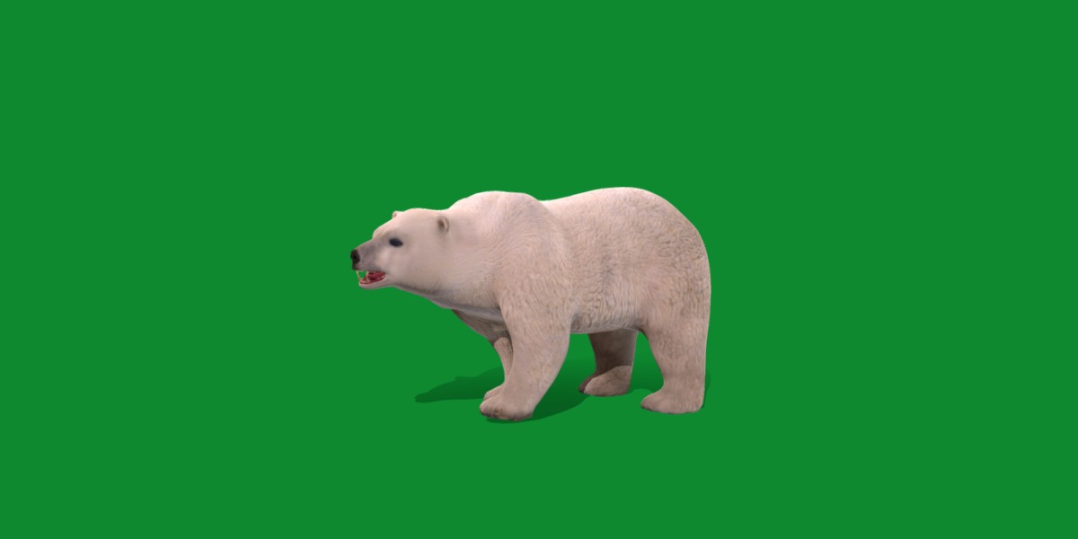 Polar Bear Low-poly 3D model_21