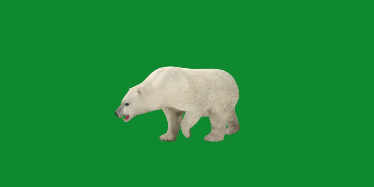 Polar Bear Low-poly 3D model_24