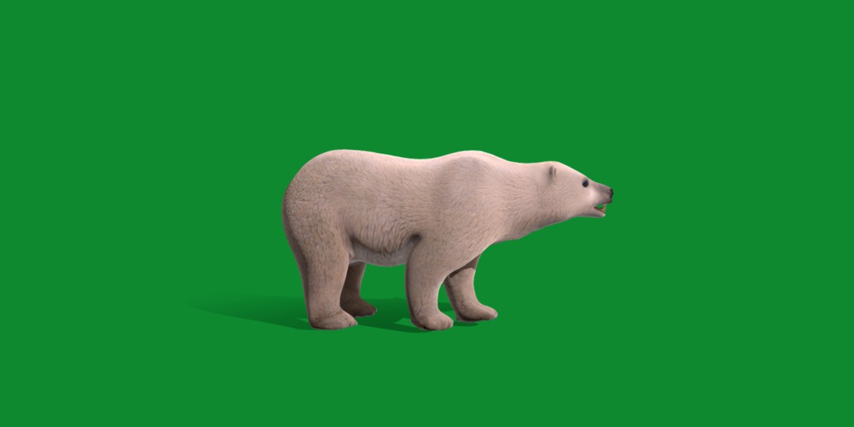 Polar Bear Low-poly 3D model_20