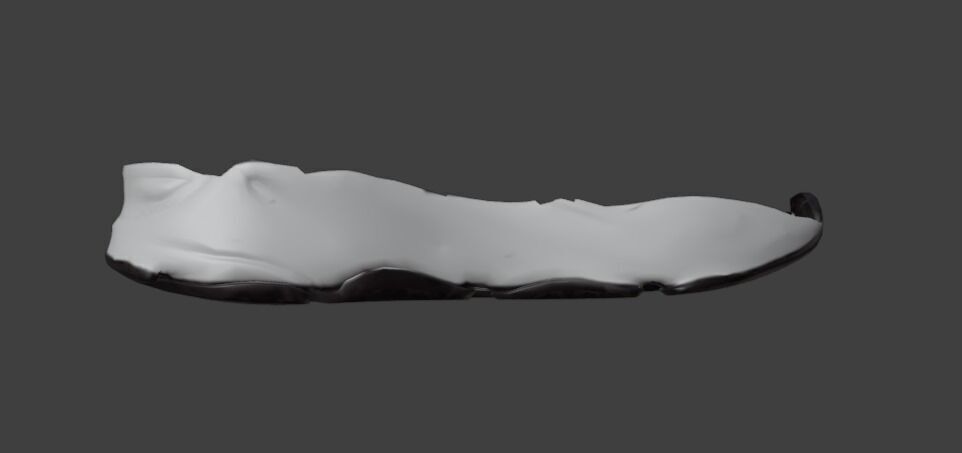 3d CUSTOM NIKE SHOE MODEL 3D print model_4