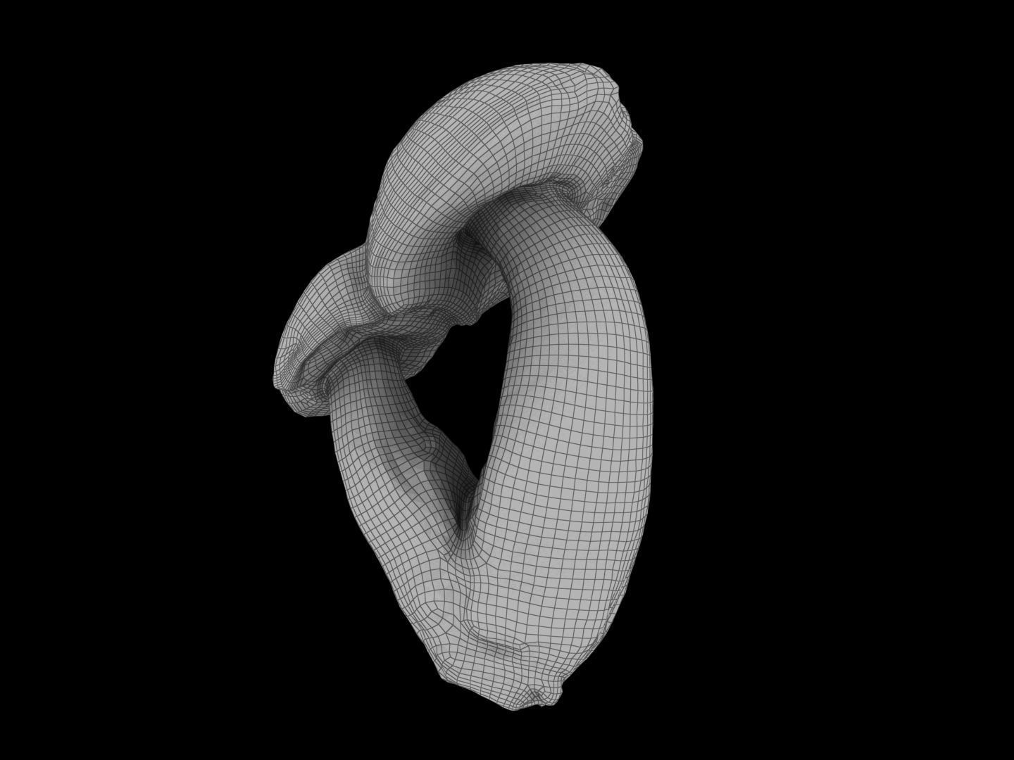 Leccinum scabrum 01 Low-poly 3D model_13