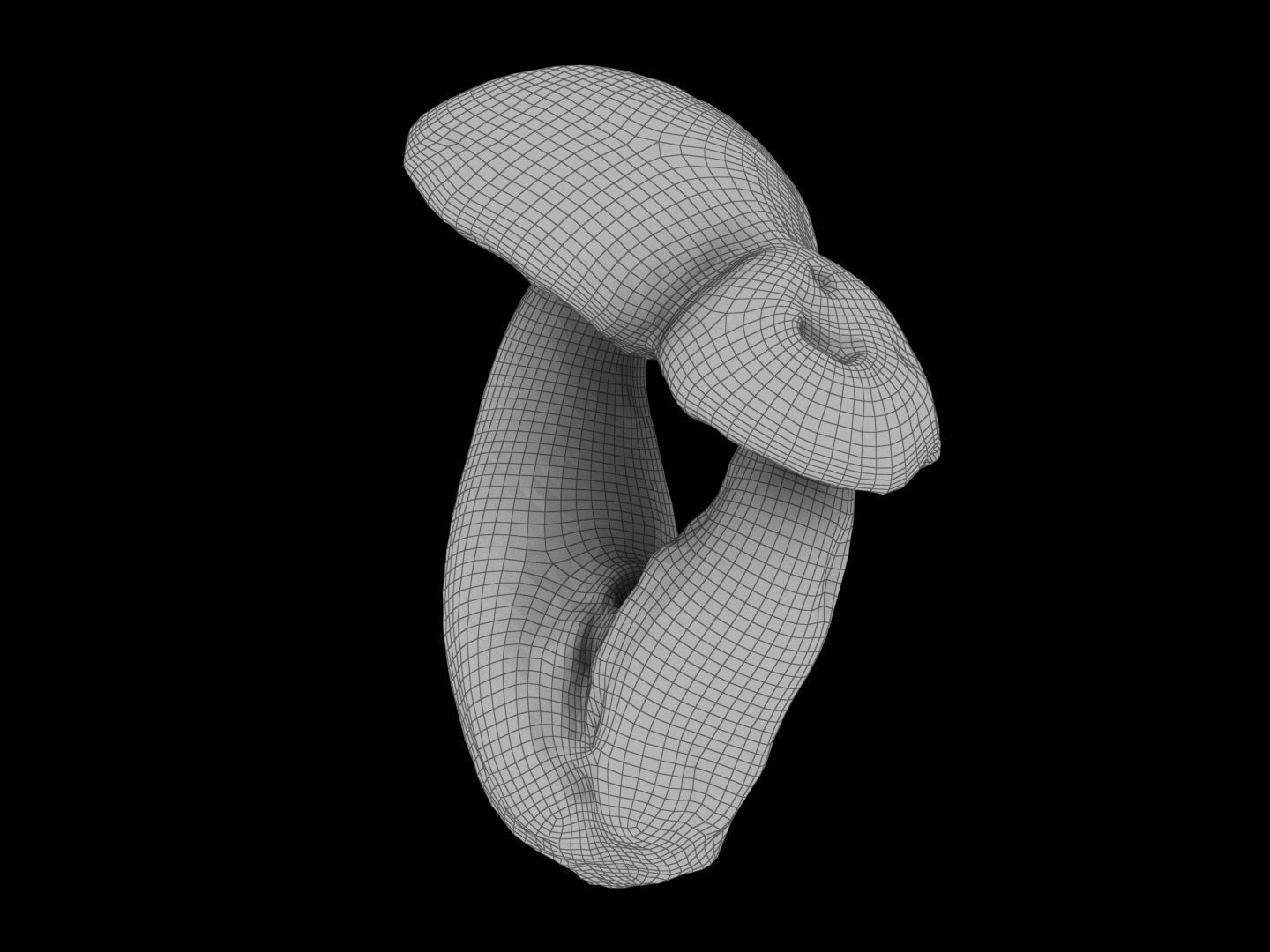 Leccinum scabrum 01 Low-poly 3D model_14