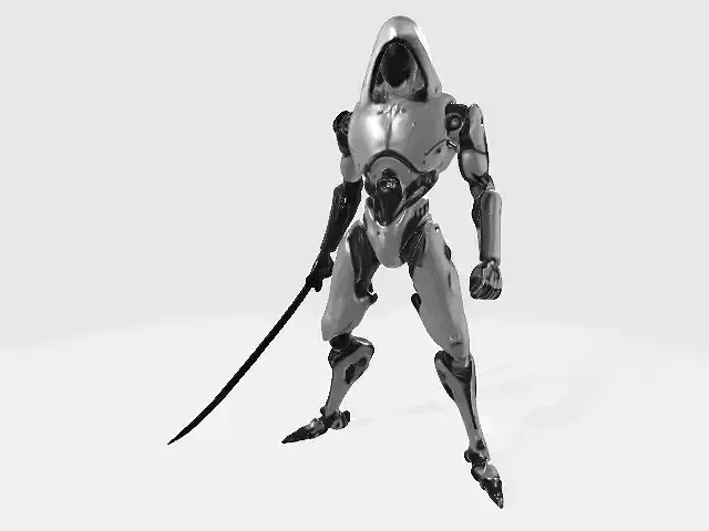 Fighter robot 3D model