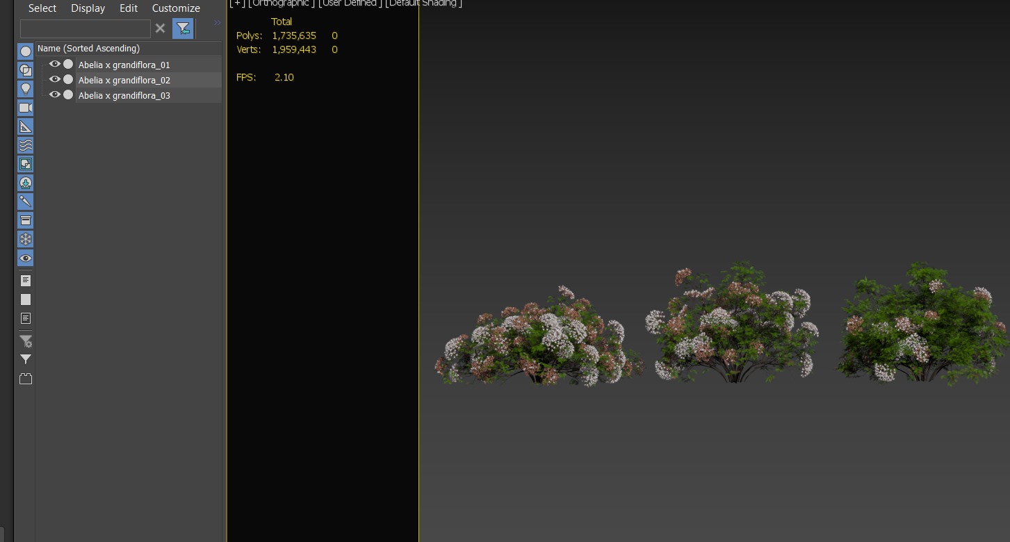 Glossy Abelia 3D model_4