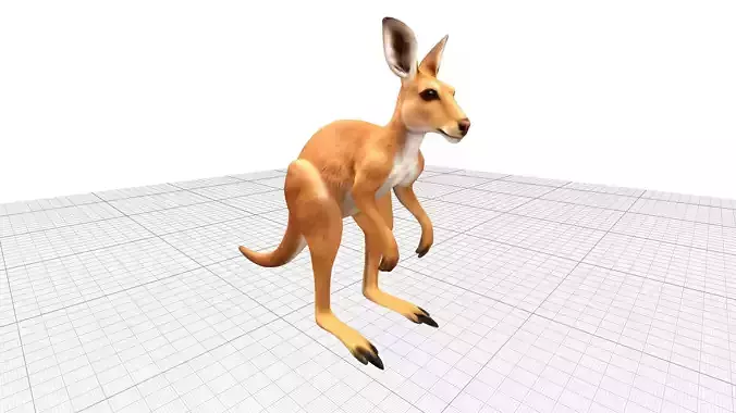 Kangaroo Realistic Lowpoly Low-poly 3D model