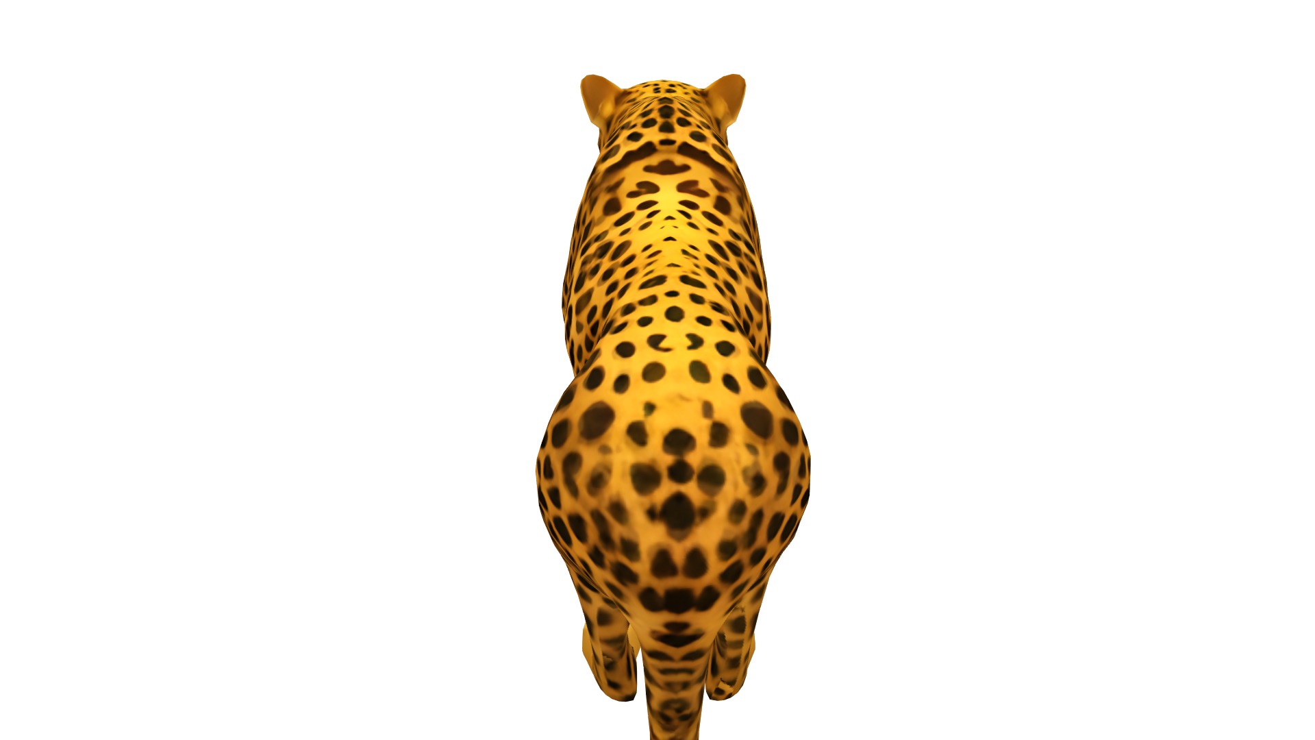 Leopard Realistic Low-poly 3D model_9