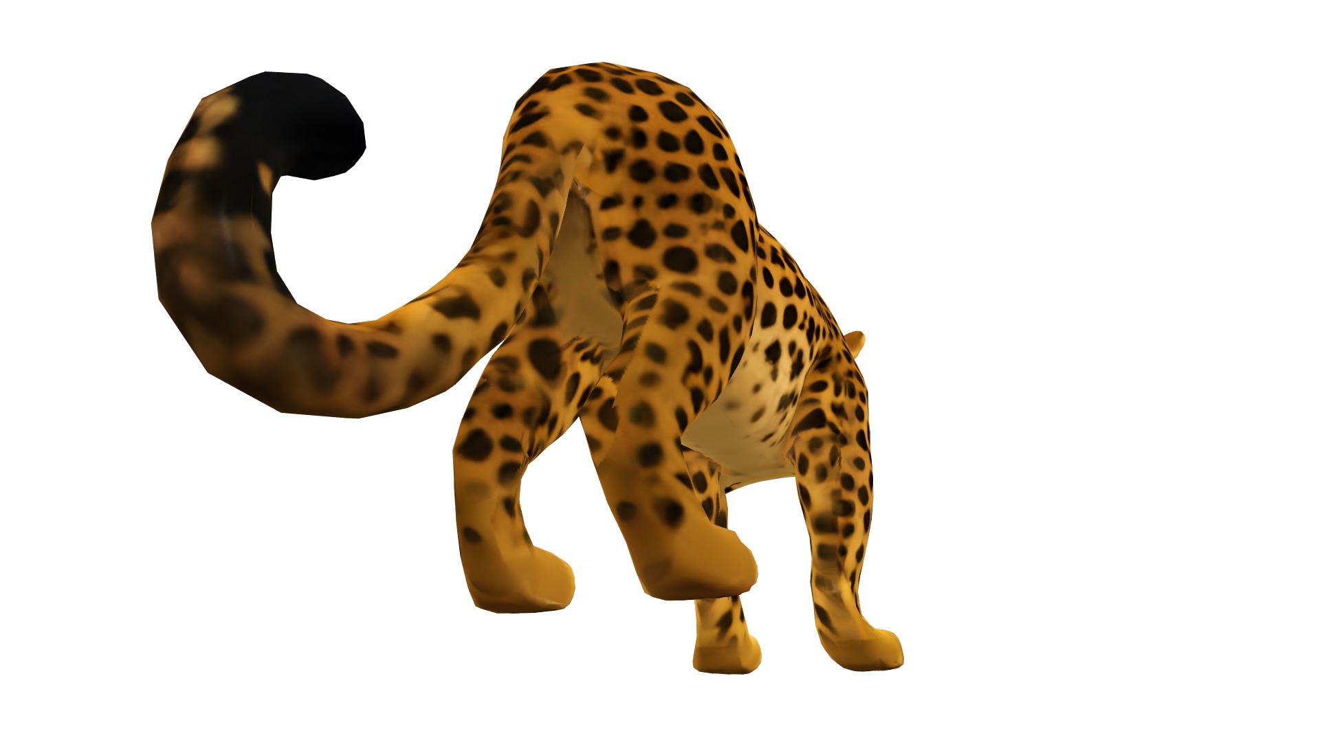 Leopard Realistic Low-poly 3D model_7