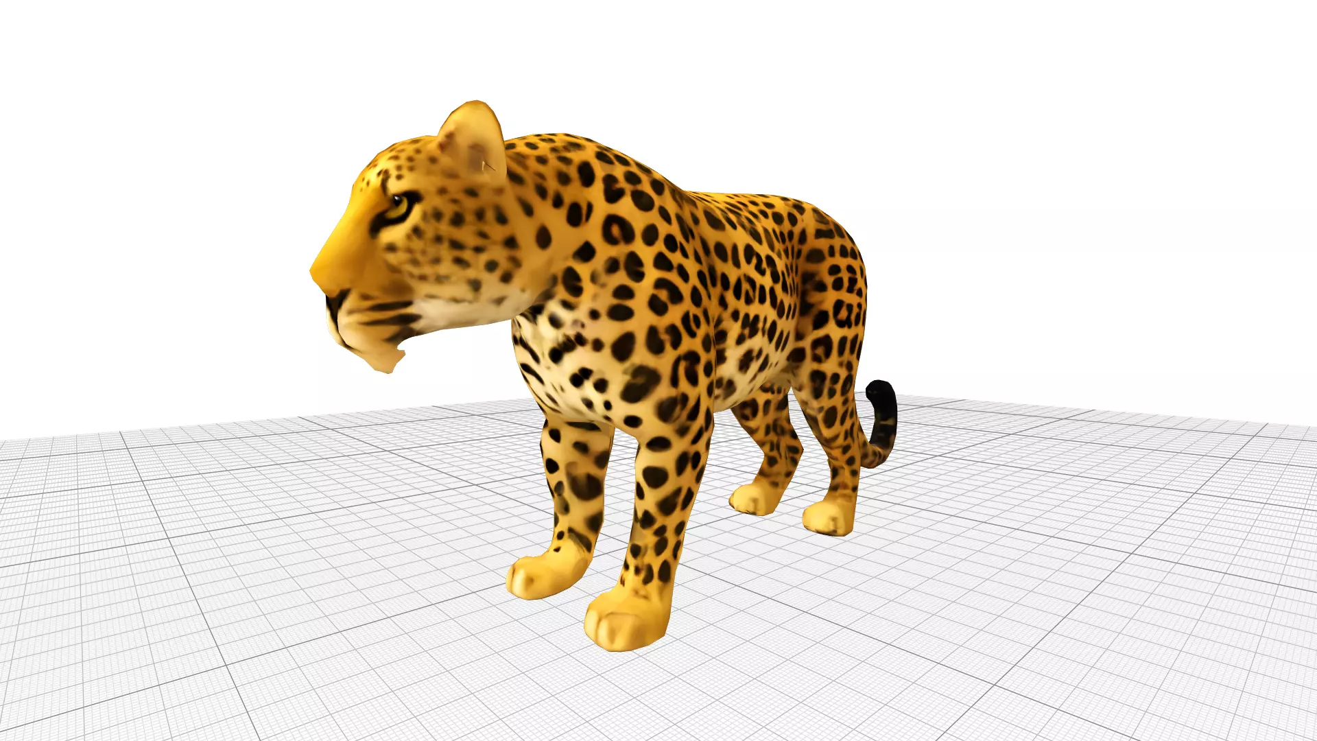 Leopard Realistic Low-poly 3D model_0