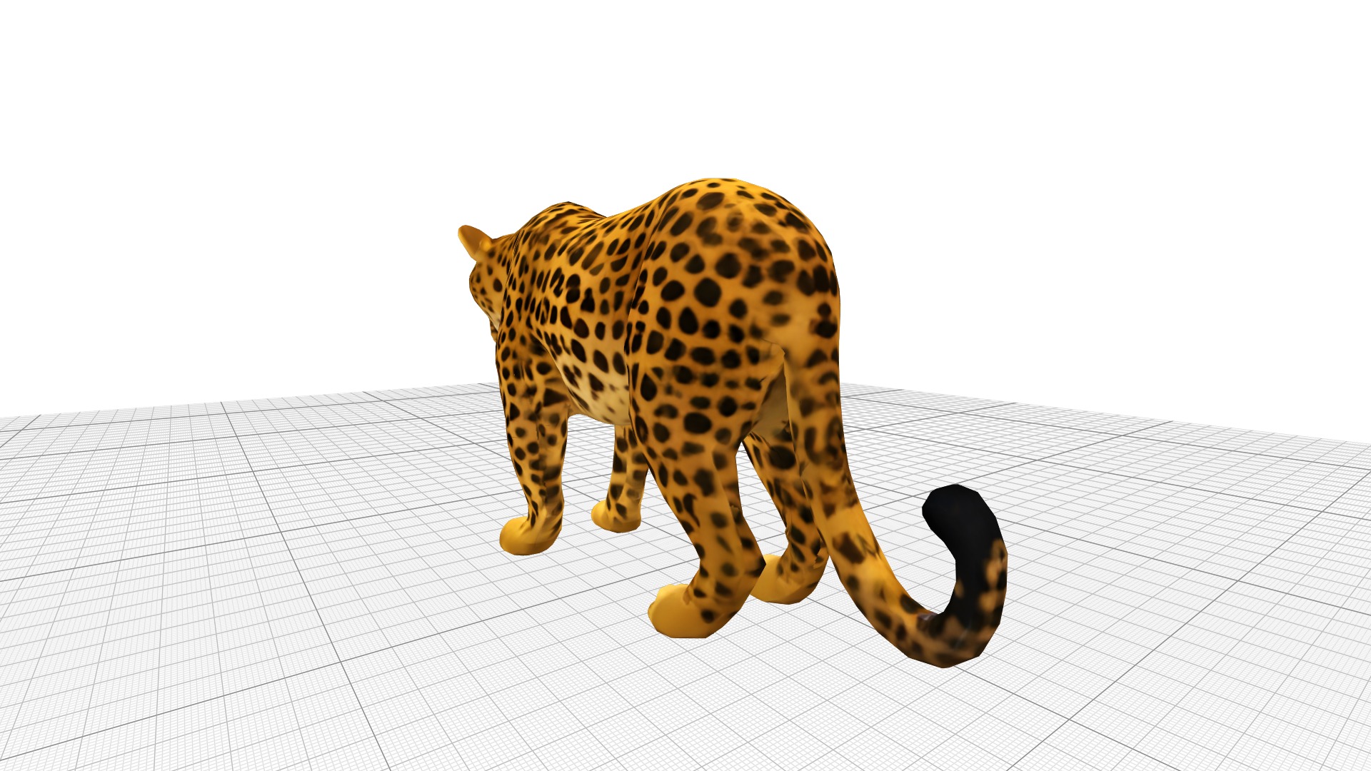 Leopard Realistic Low-poly 3D model_2