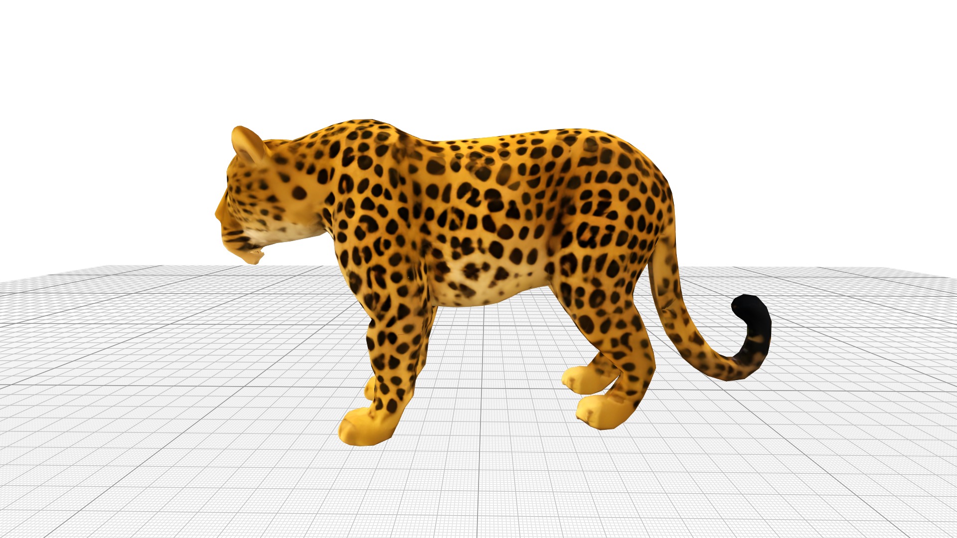Leopard Realistic Low-poly 3D model_1