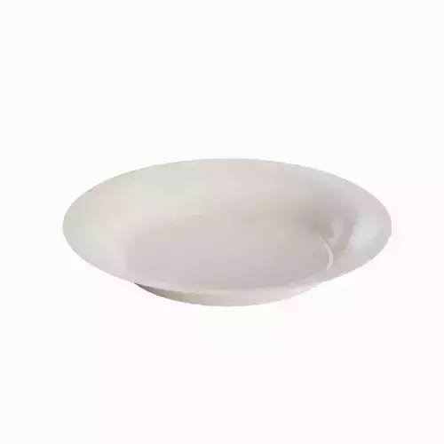 Empty Plate 01