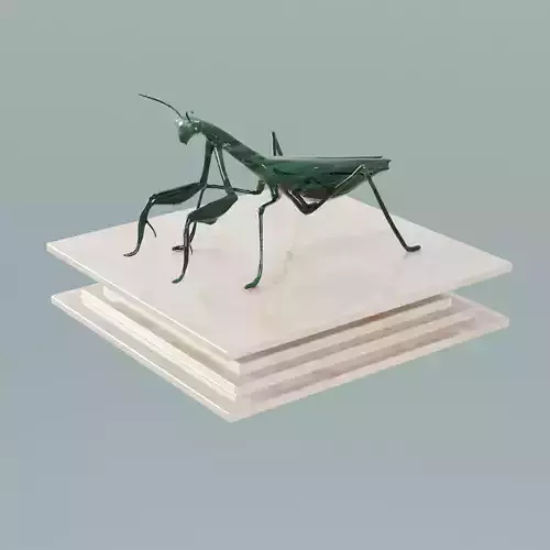House Decoration Mantis Statue