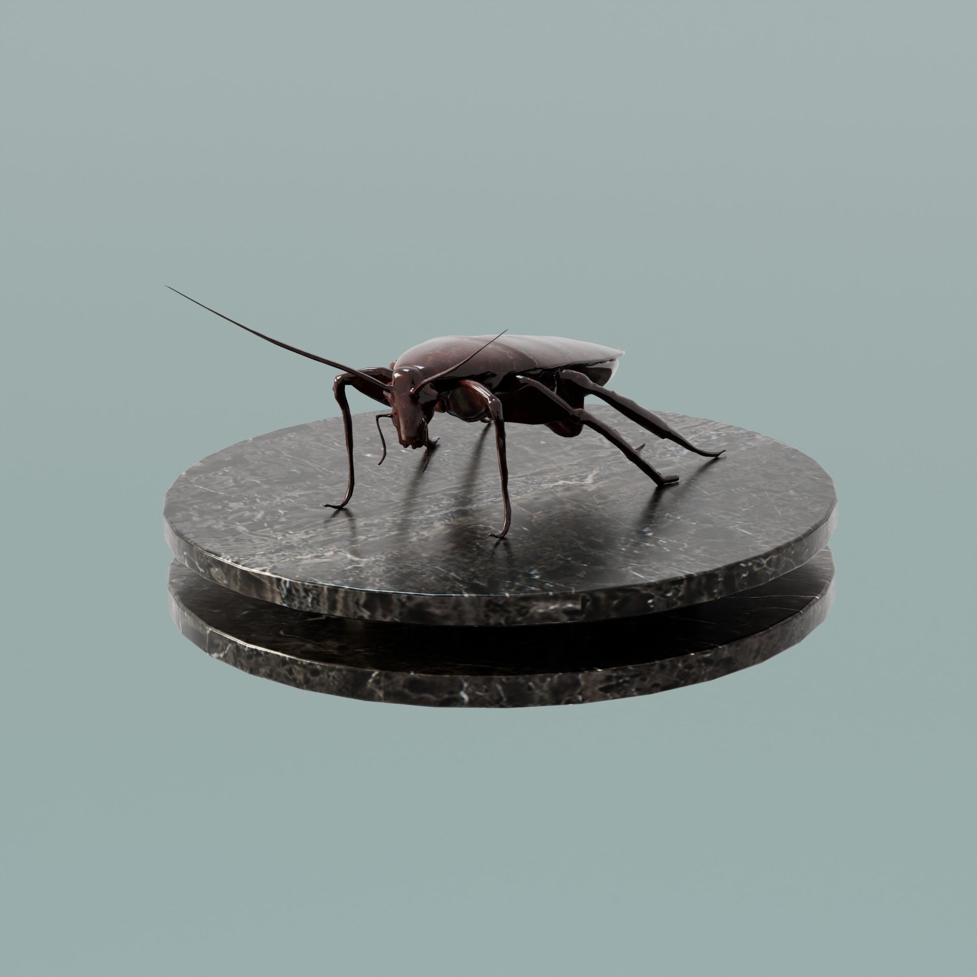 House Decoration Cockroach Statue Low-poly 3D model_1
