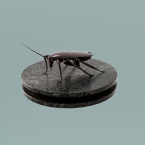 House Decoration Cockroach Statue Low-poly 3D model
