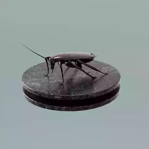 House Decoration Cockroach Statue Low-poly 3D model