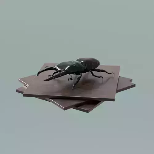 House Decoration Stag Beetle Statue