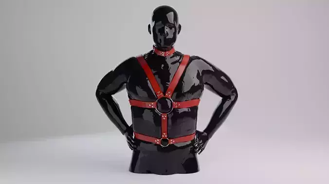 Harness on a mannequin