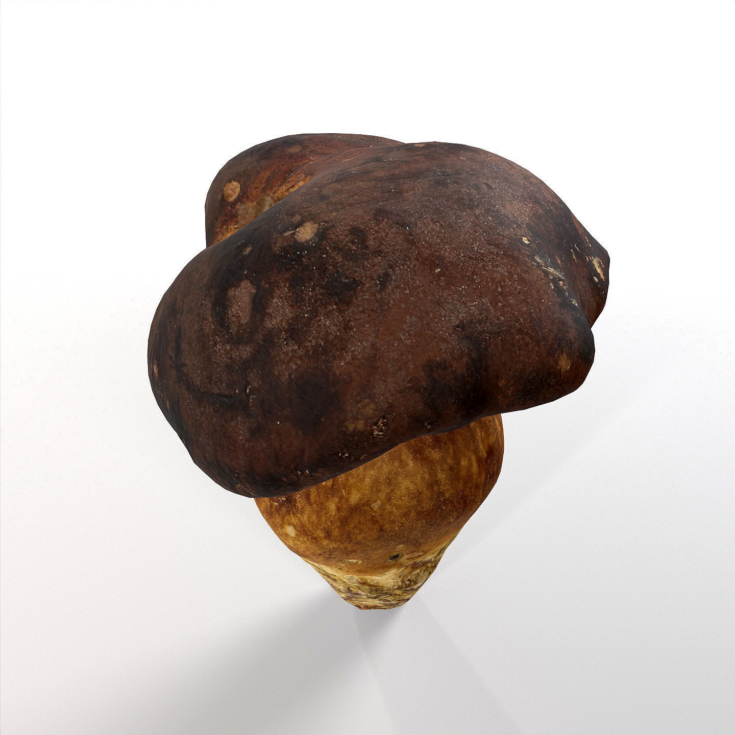 Boletus Badius 01 Low-poly 3D model_9