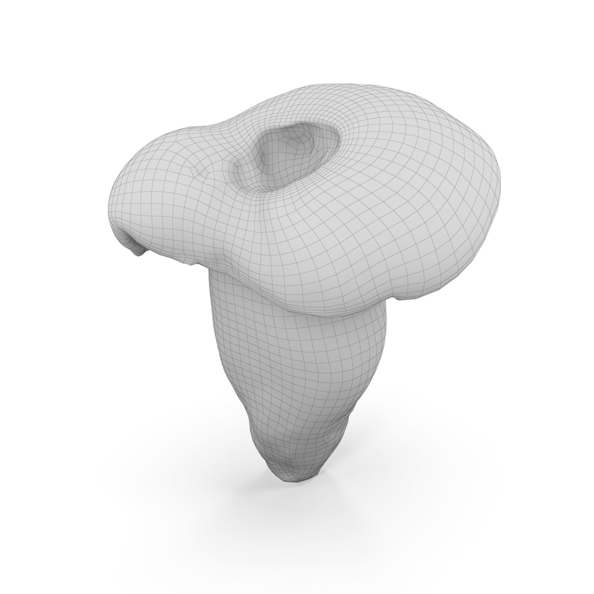 Boletus Badius 01 Low-poly 3D model_11