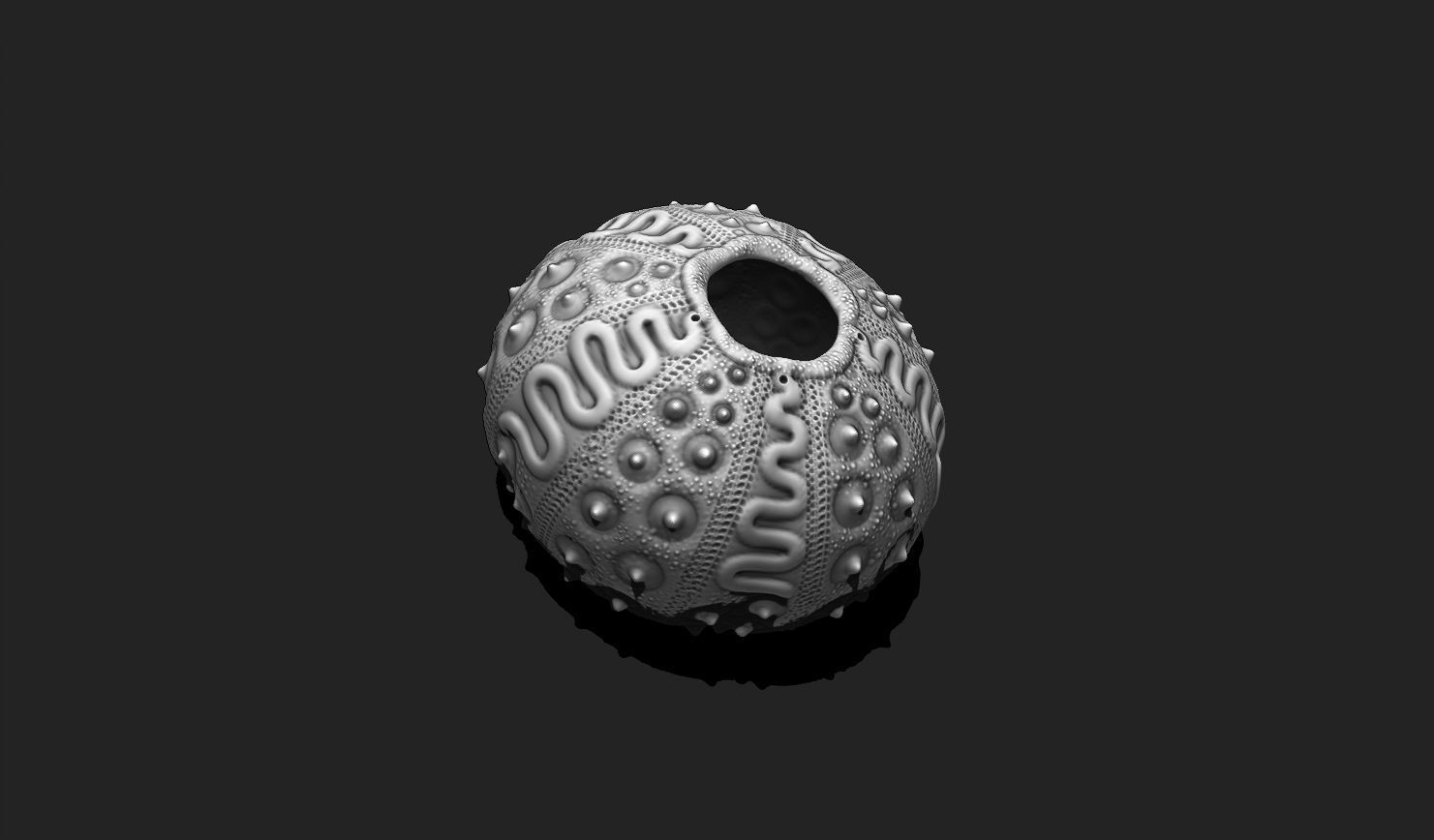 Sea Urchin 03 - STL for 3D Print - Aquarium 3D print model_5