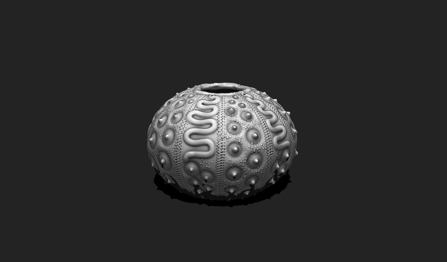 Sea Urchin 03 - STL for 3D Print - Aquarium 3D print model_6