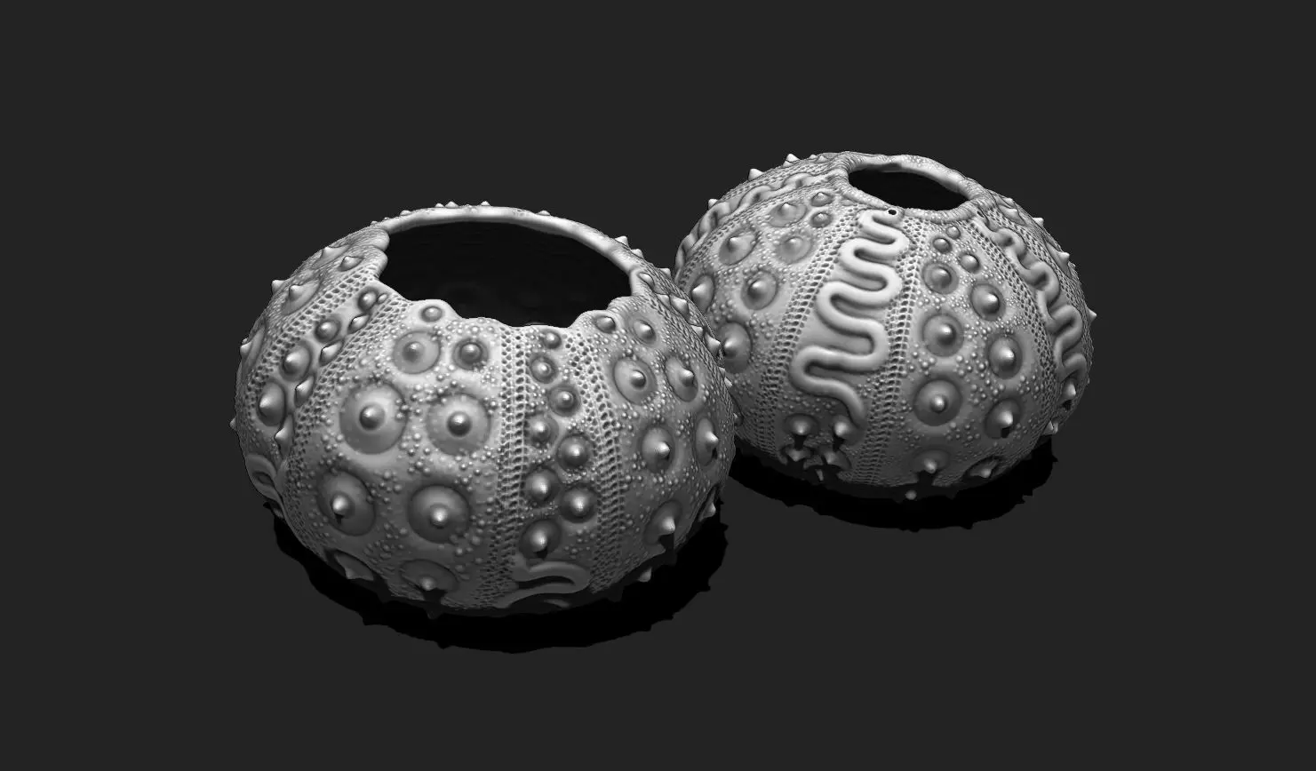 Sea Urchin 03 - STL for 3D Print - Aquarium 3D print model_0