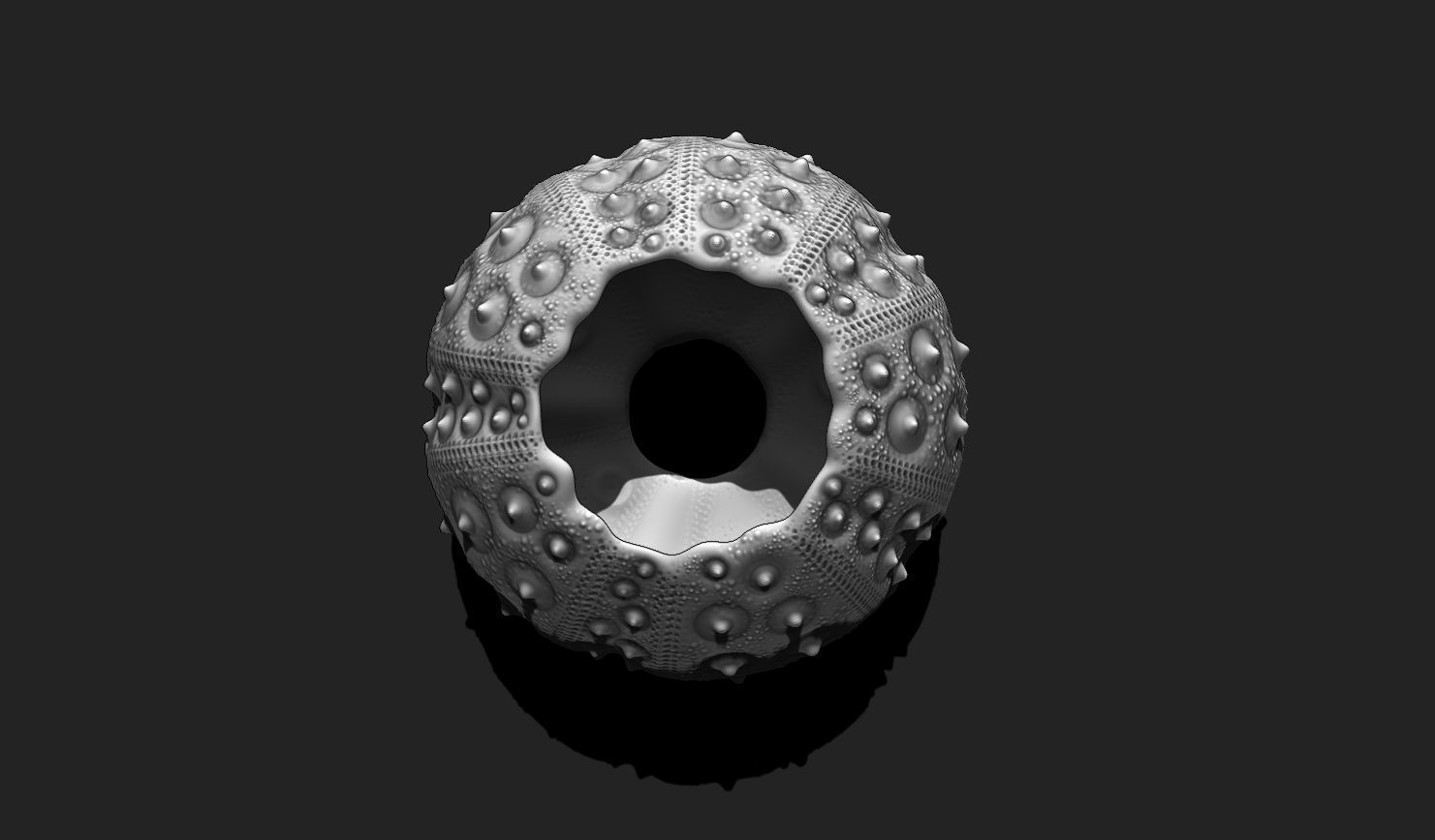 Sea Urchin 03 - STL for 3D Print - Aquarium 3D print model_10