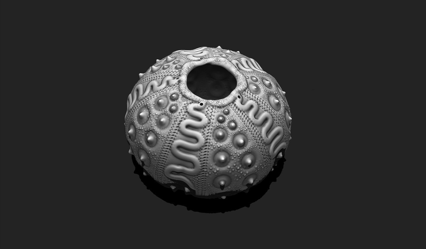 Sea Urchin 03 - STL for 3D Print - Aquarium 3D print model_14