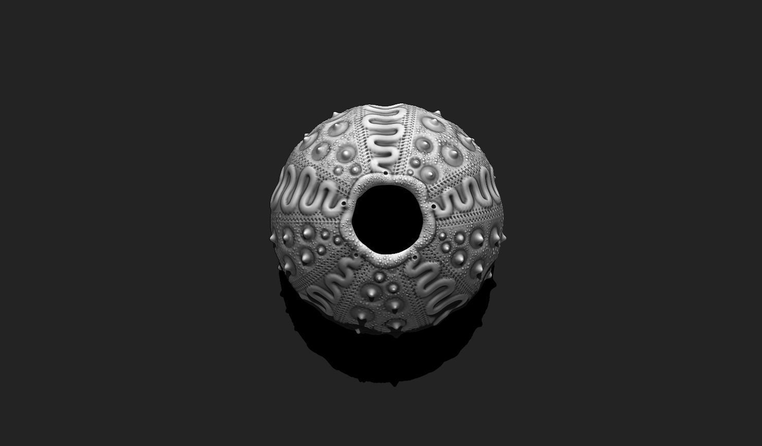 Sea Urchin 03 - STL for 3D Print - Aquarium 3D print model_4