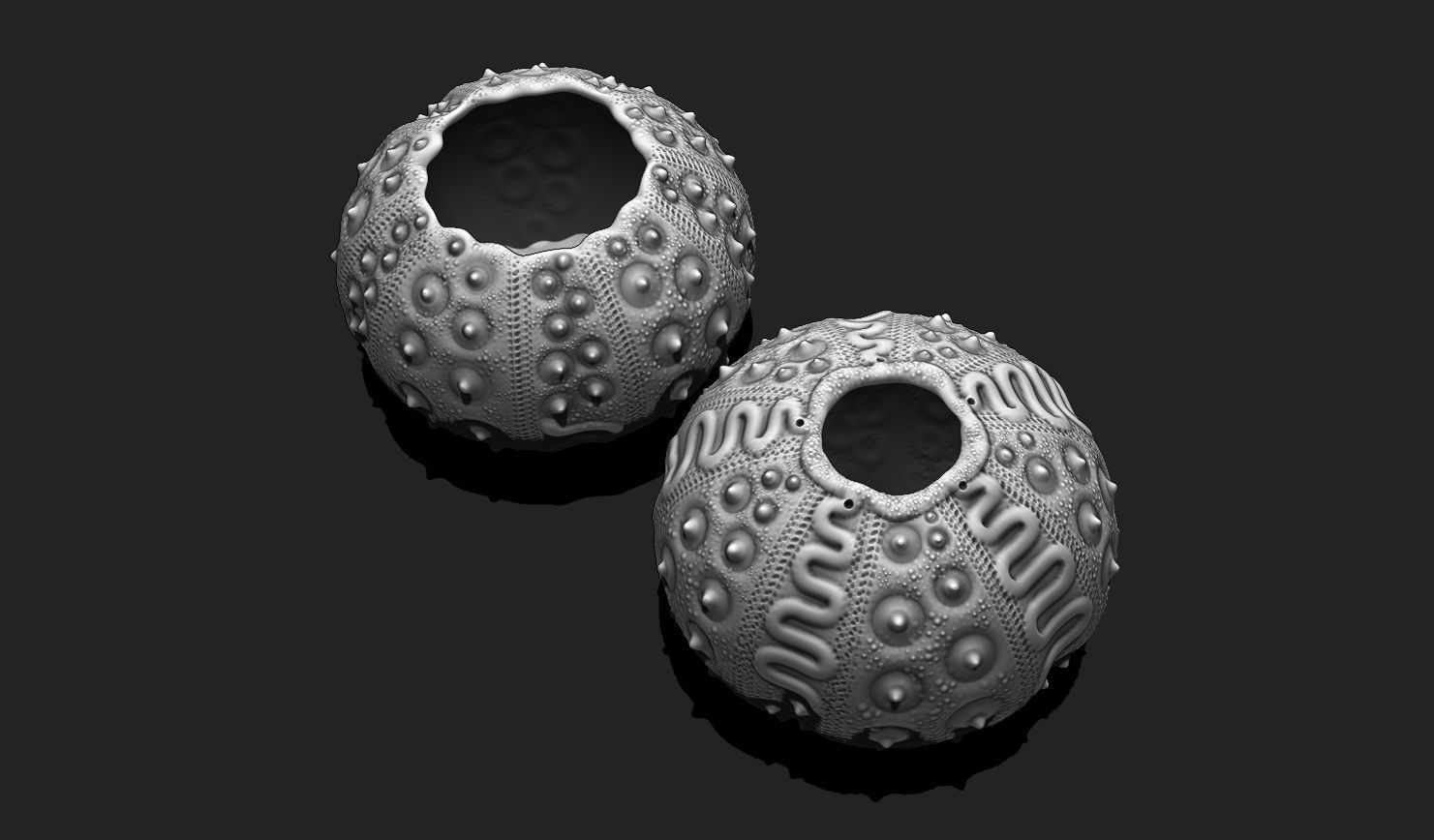 Sea Urchin 03 - STL for 3D Print - Aquarium 3D print model_9