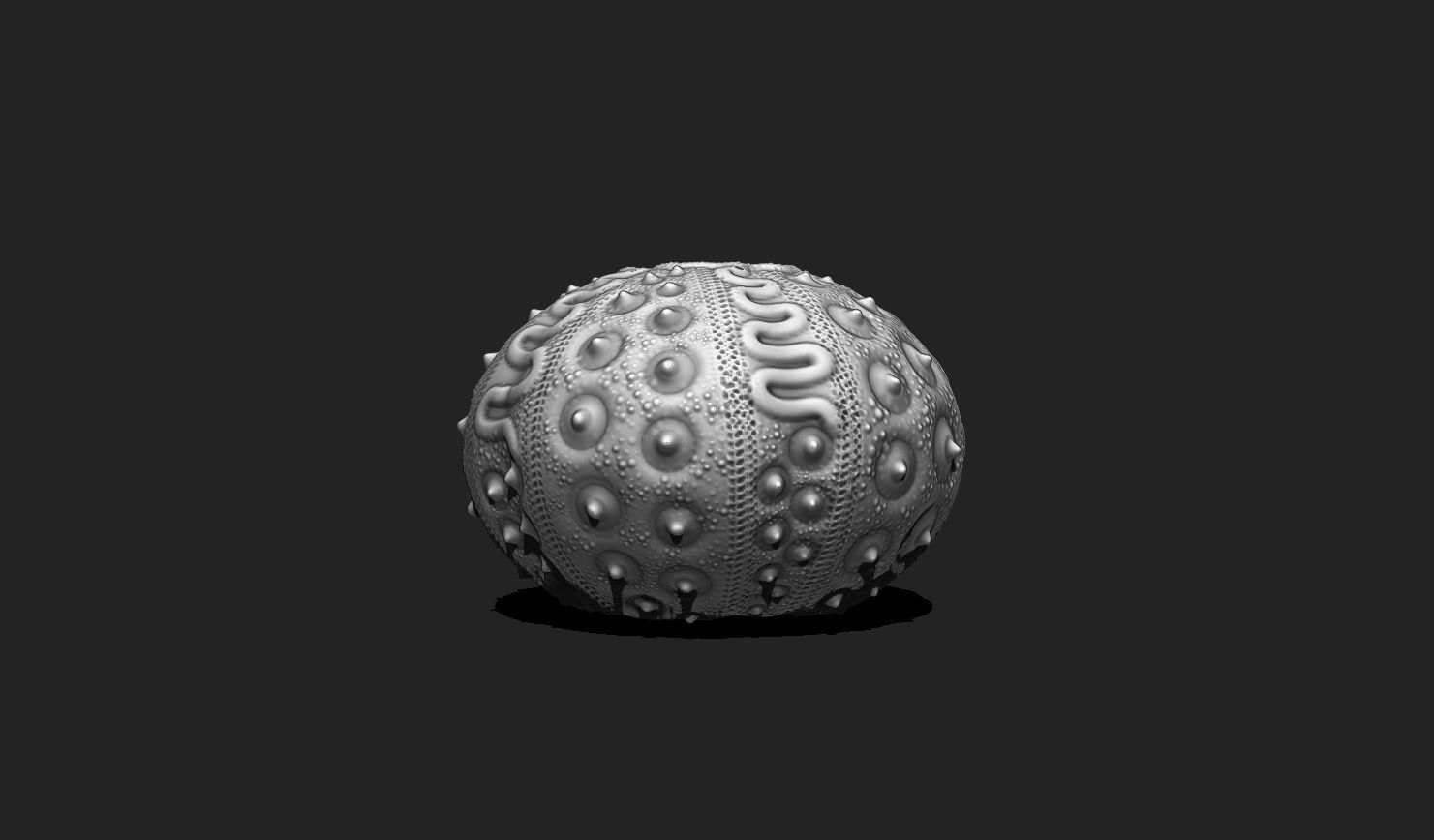 Sea Urchin 03 - STL for 3D Print - Aquarium 3D print model_2