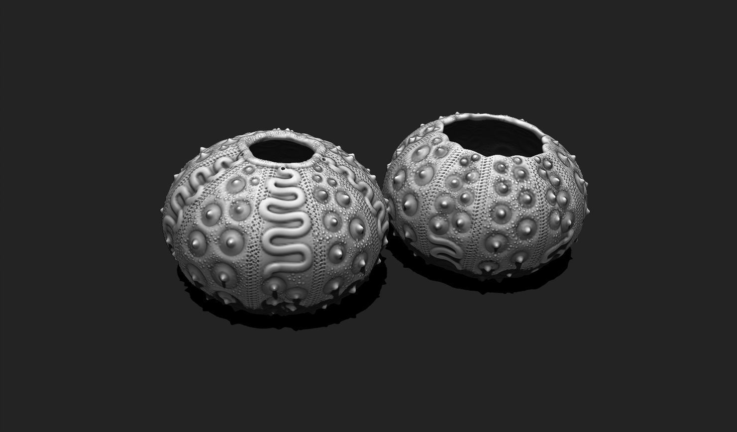 Sea Urchin 03 - STL for 3D Print - Aquarium 3D print model_8