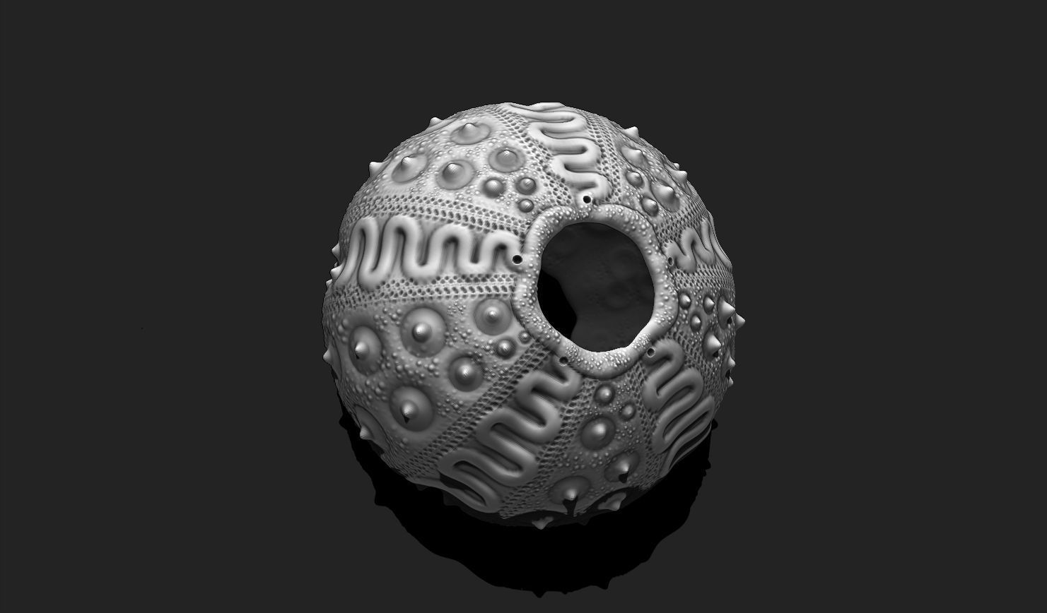Sea Urchin 03 - STL for 3D Print - Aquarium 3D print model_1