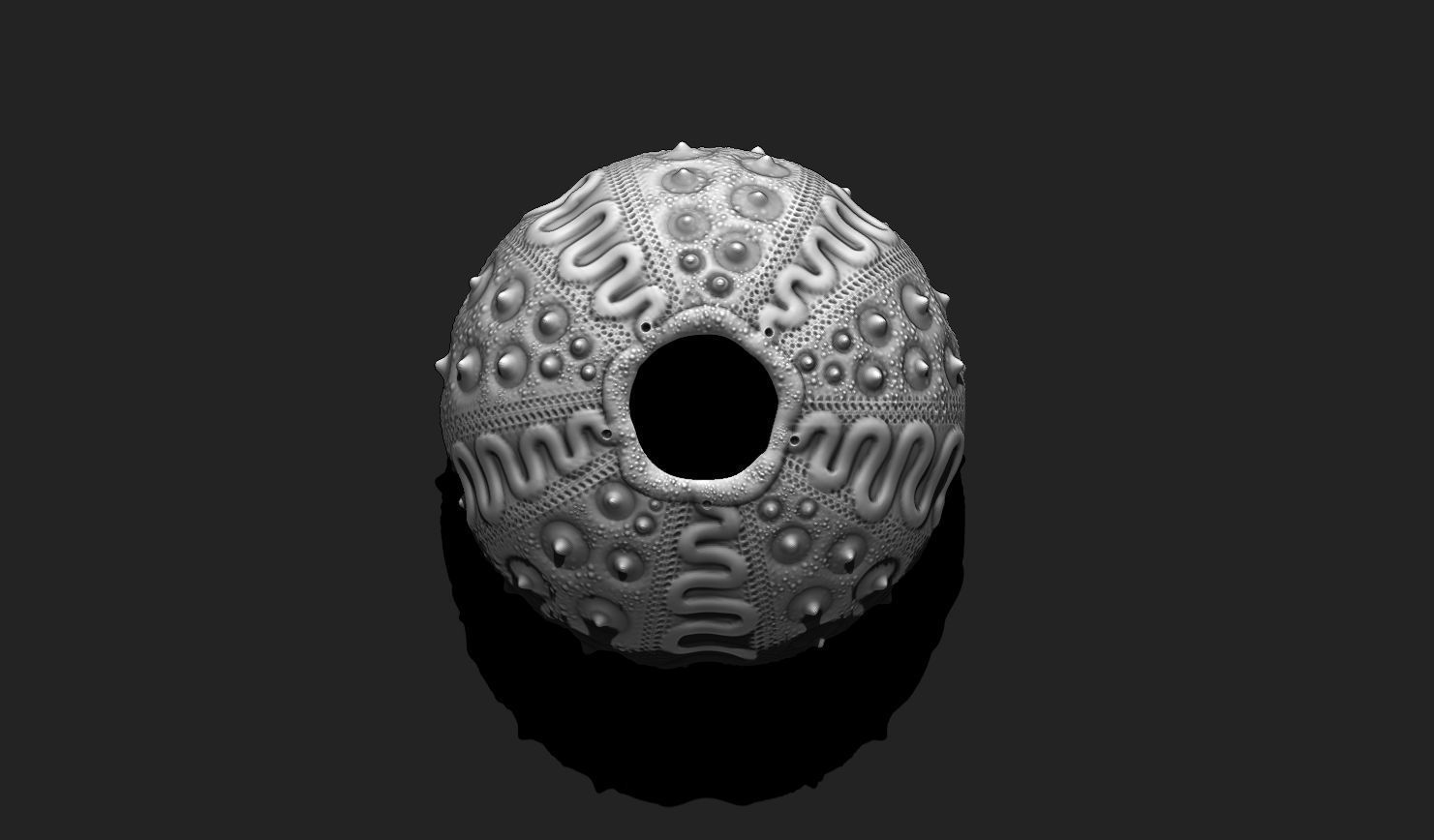 Sea Urchin 03 - STL for 3D Print - Aquarium 3D print model_12