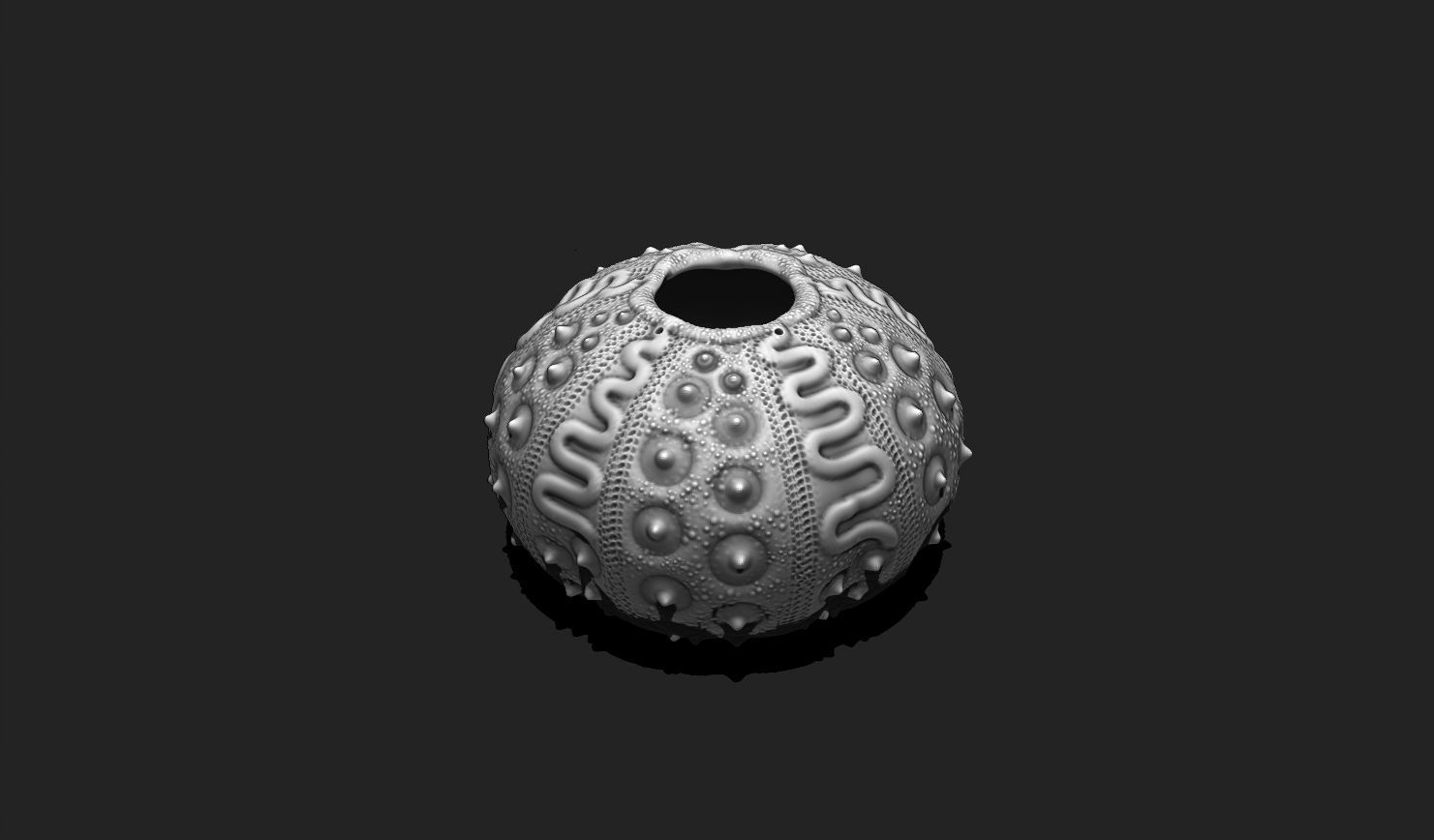 Sea Urchin 03 - STL for 3D Print - Aquarium 3D print model_3