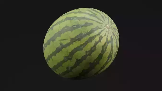 Watermelon Fruit 3D model