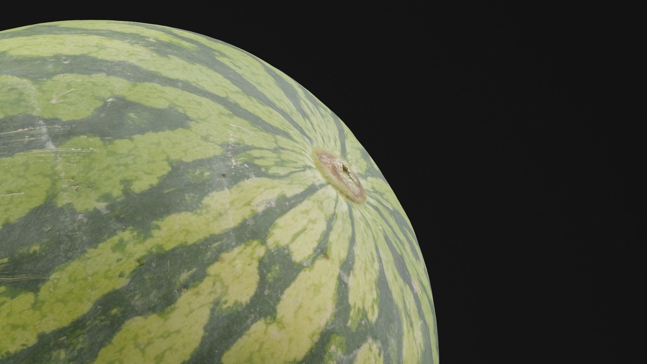 Watermelon Fruit 3D model_1