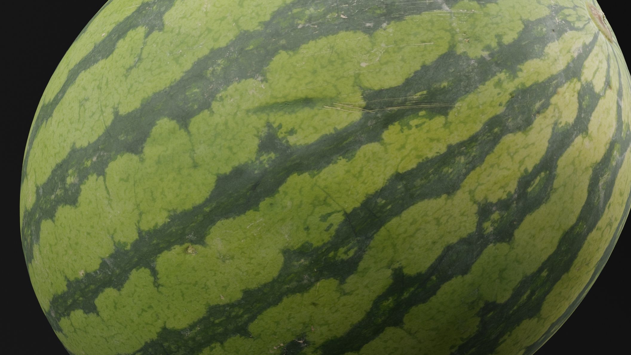 Watermelon Fruit 3D model_2