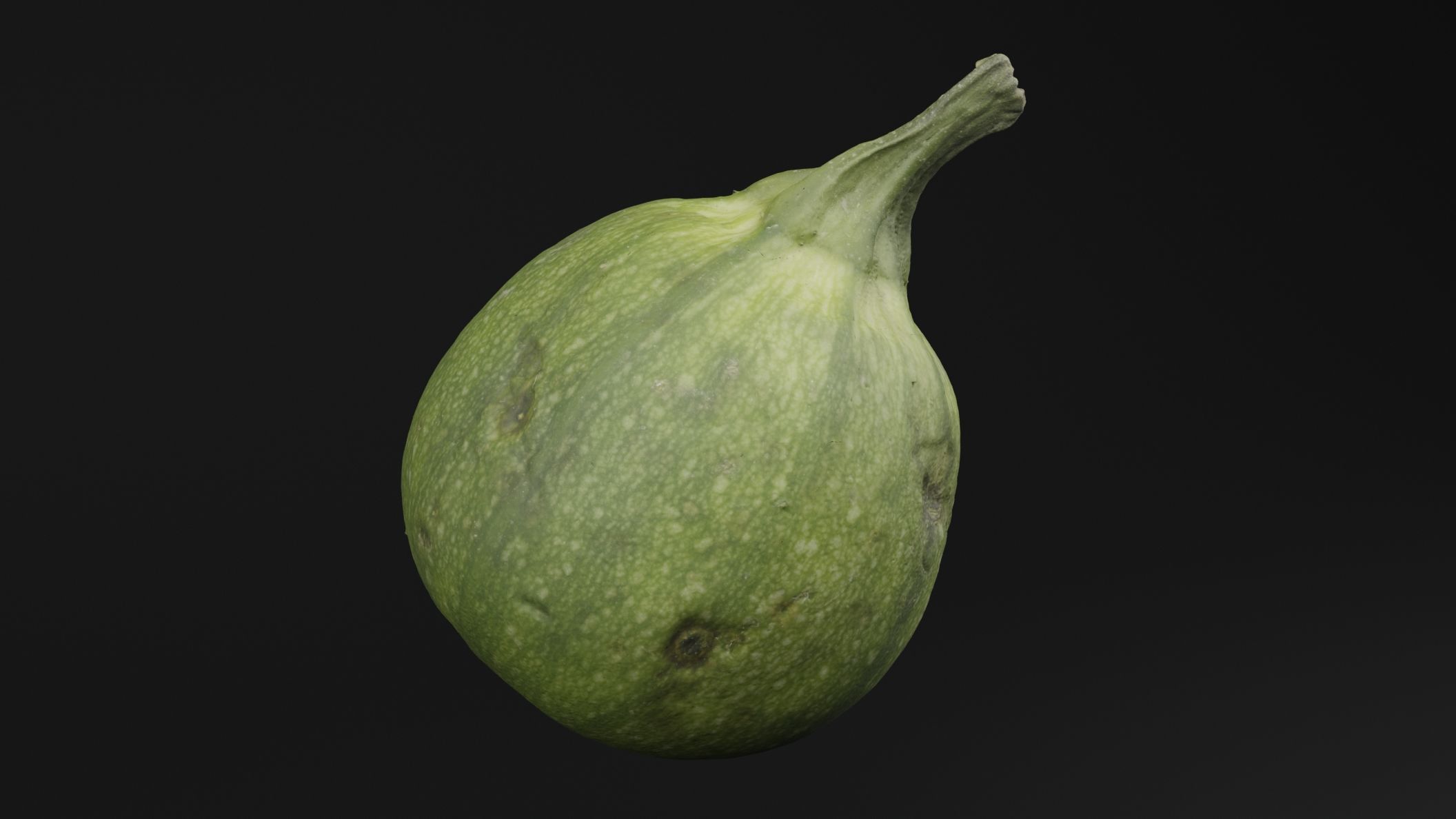 Tinda Round Melon 3D model_3