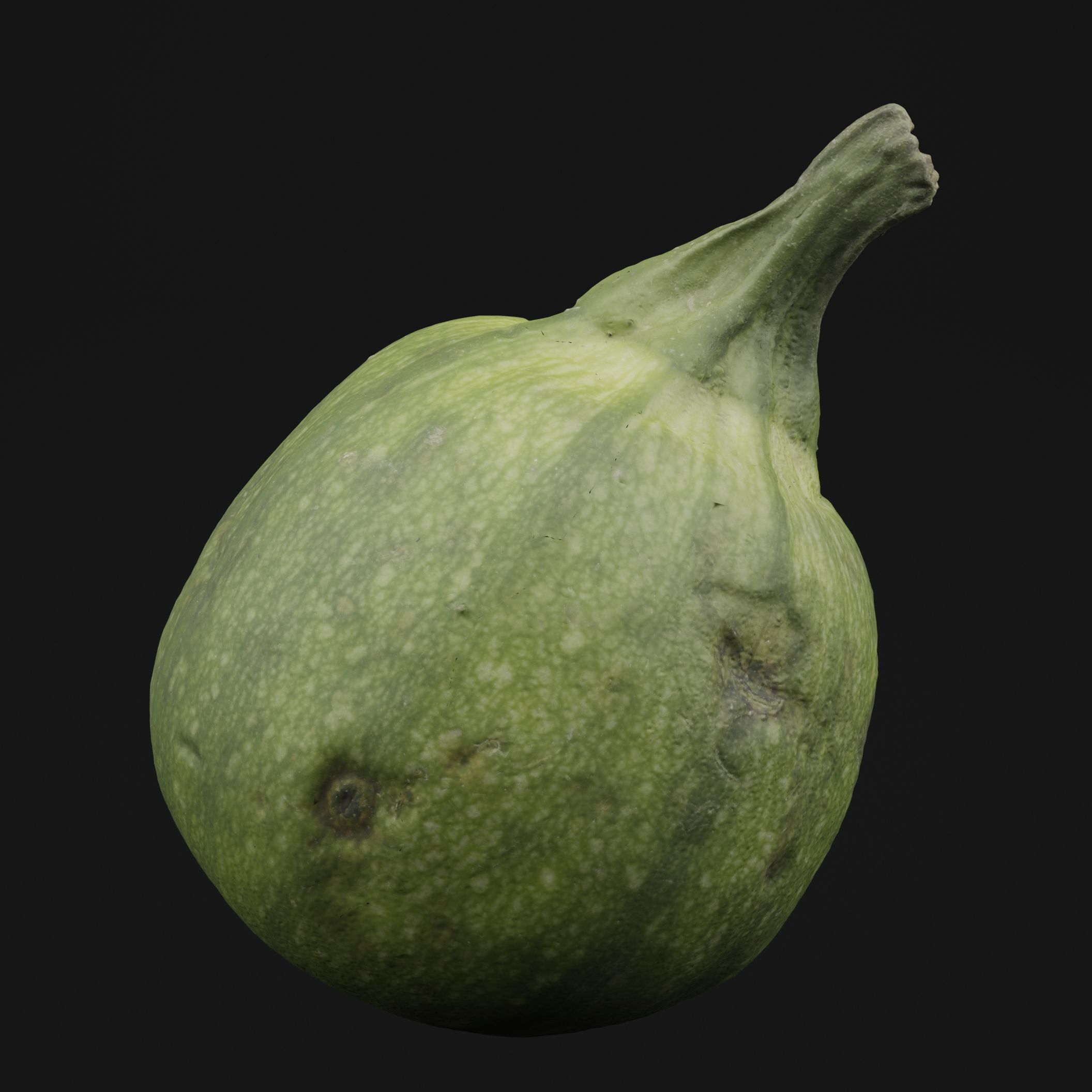 Tinda Round Melon 3D model_5
