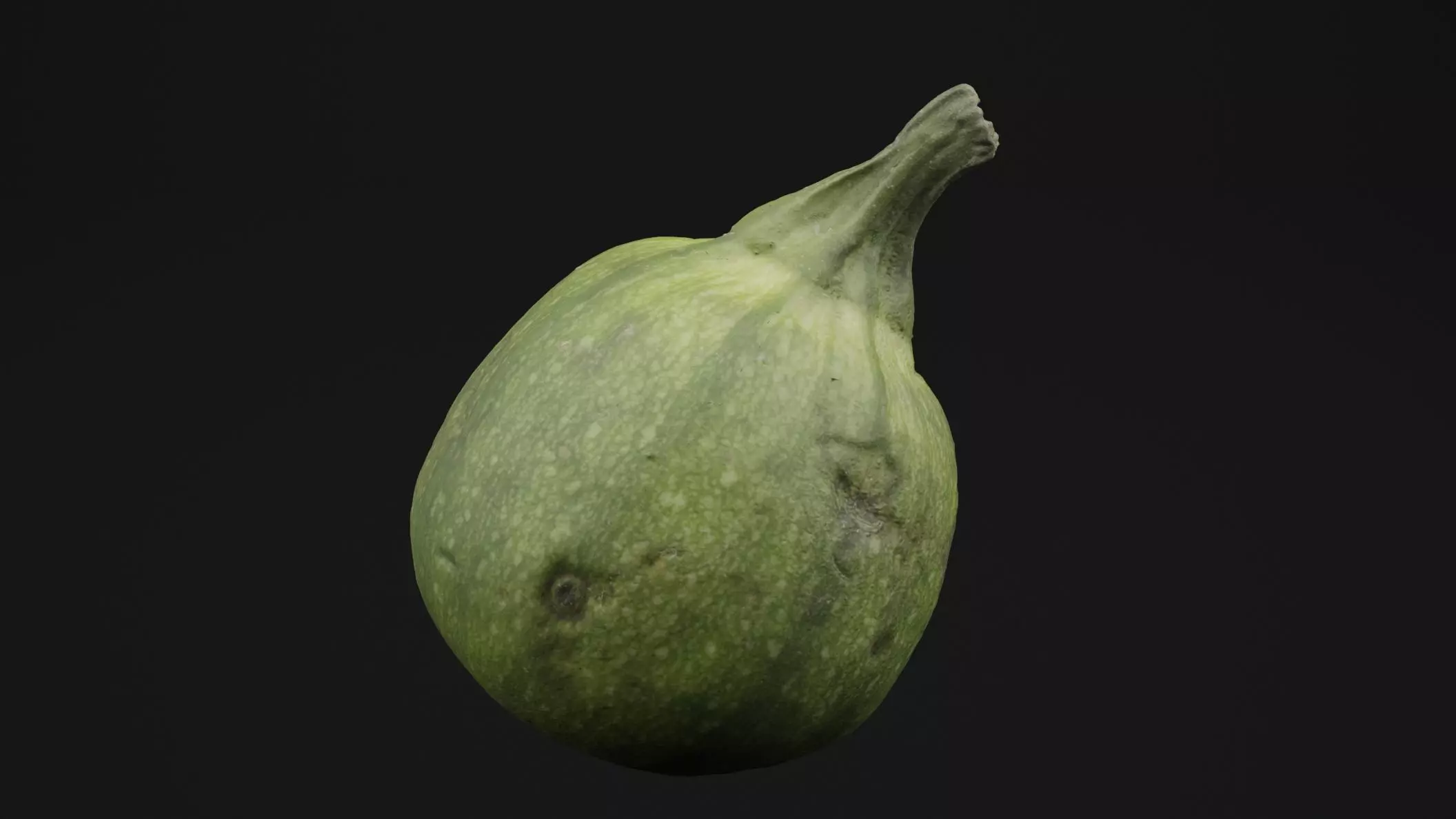 Tinda Round Melon 3D model_0