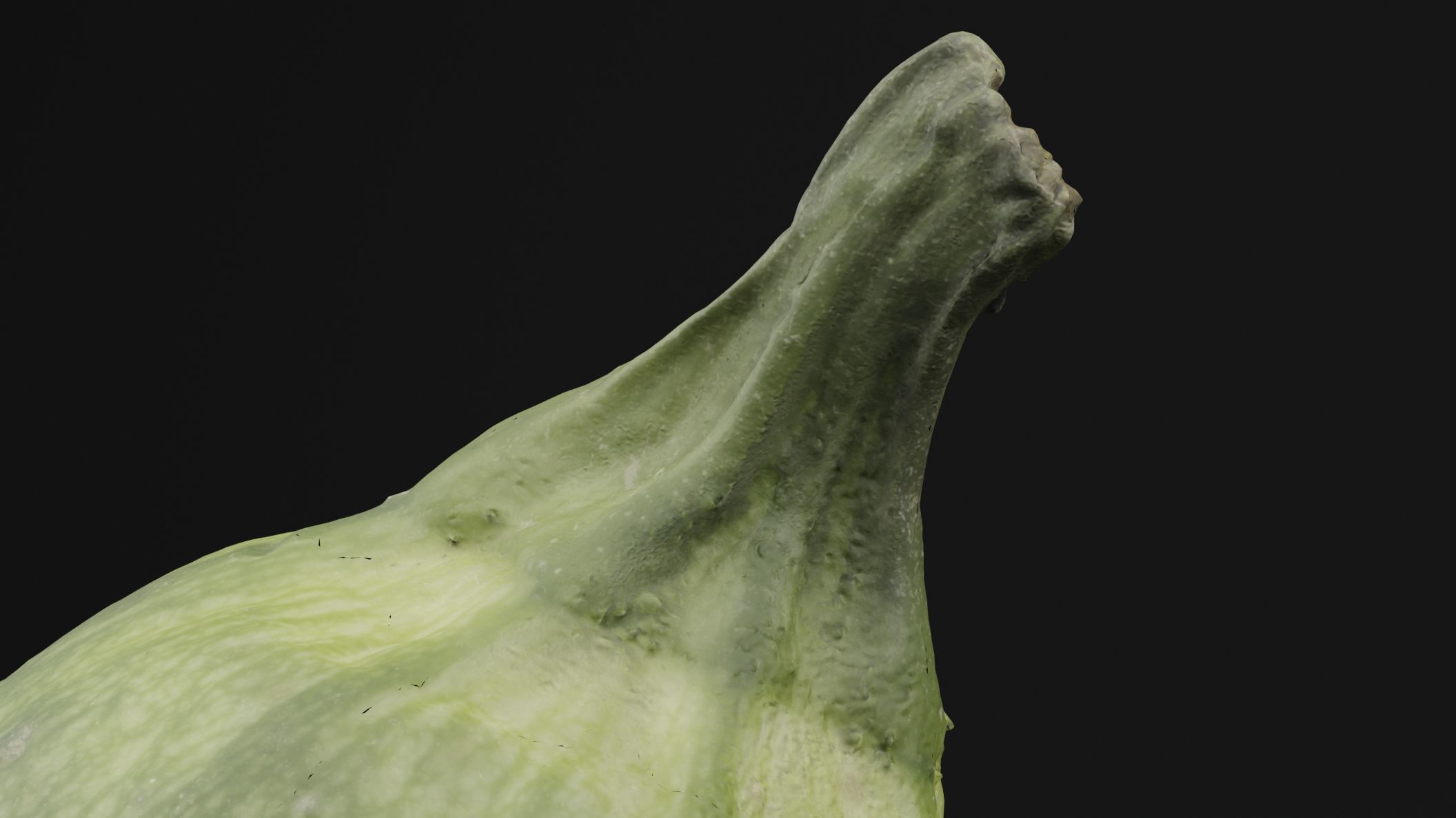 Tinda Round Melon 3D model_1