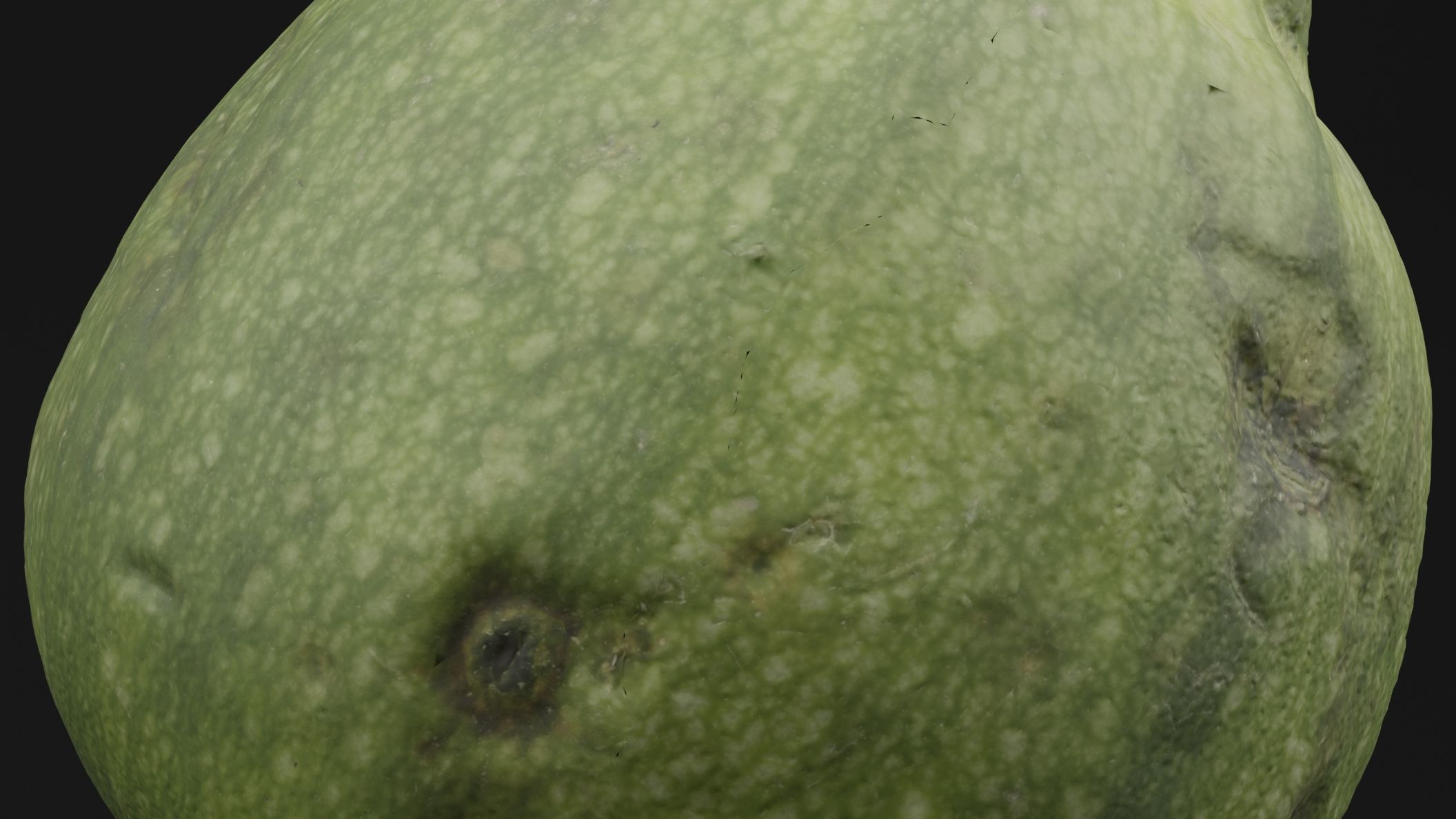 Tinda Round Melon 3D model_2