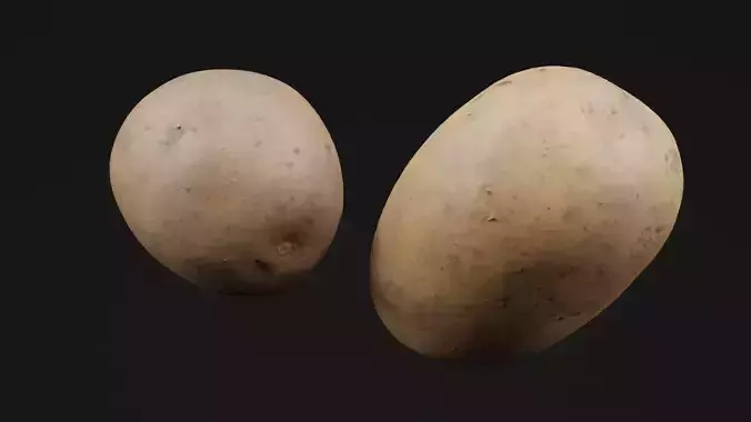 Potato