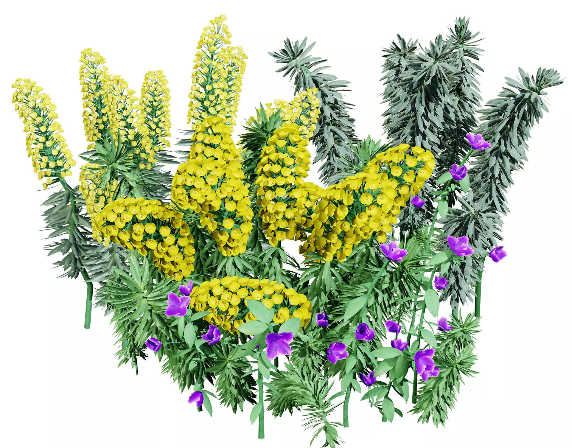 Gopher Spurge 3D Model Low-poly 3D model_0