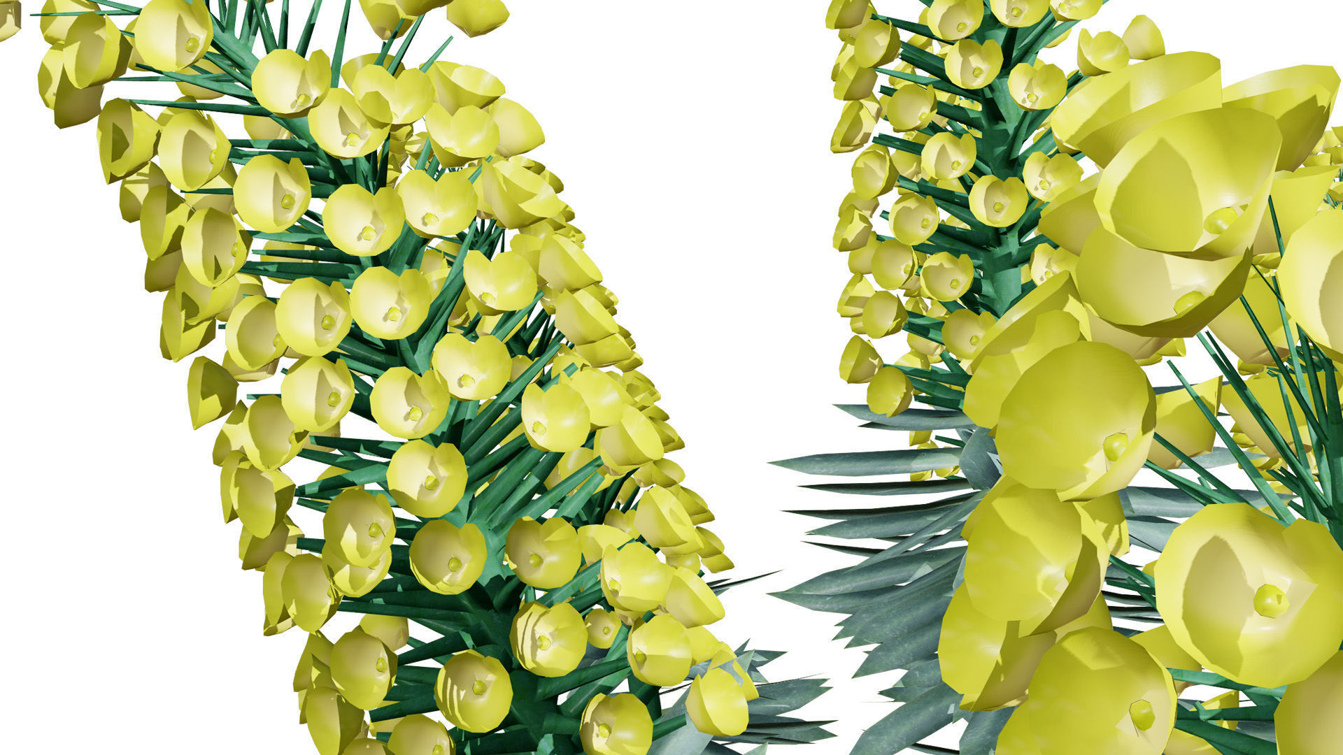 Gopher Spurge 3D Model Low-poly 3D model_8