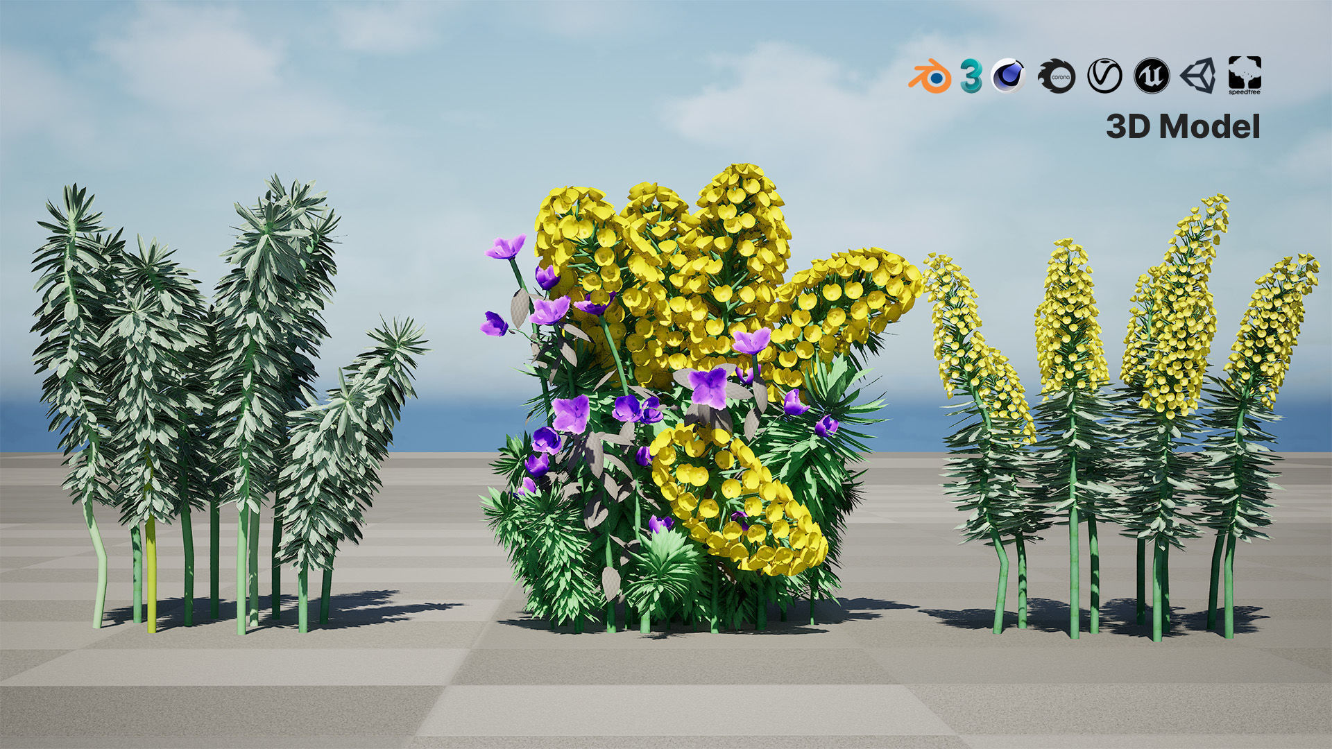 Gopher Spurge 3D Model Low-poly 3D model_2