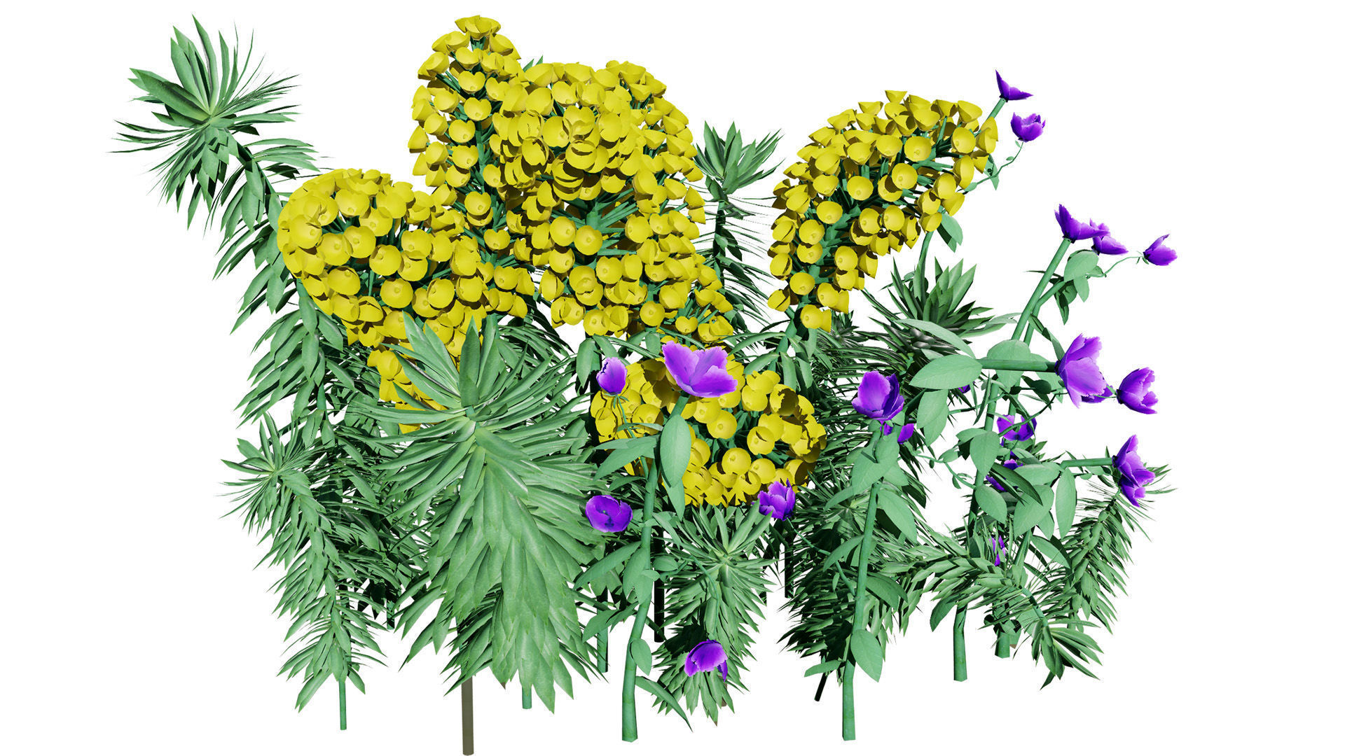 Gopher Spurge 3D Model Low-poly 3D model_6