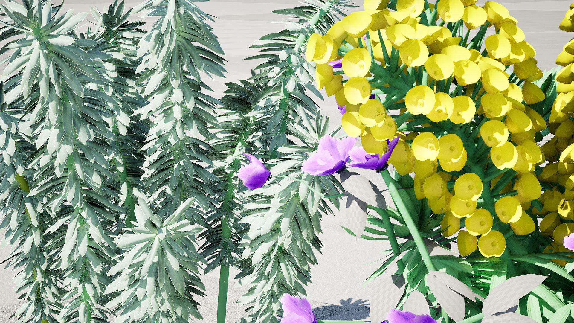 Gopher Spurge 3D Model Low-poly 3D model_12